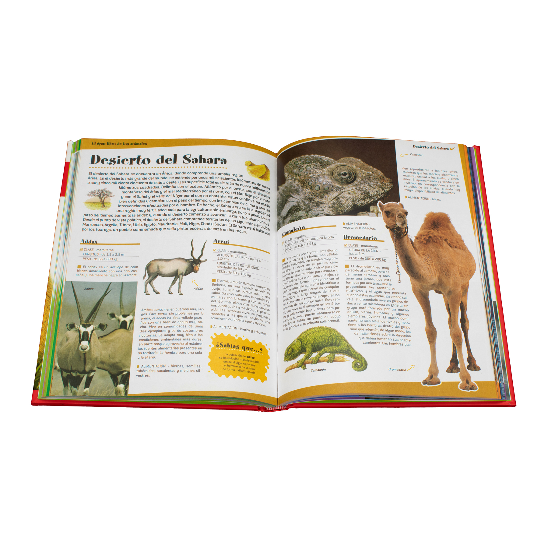 El gran libro de los animales