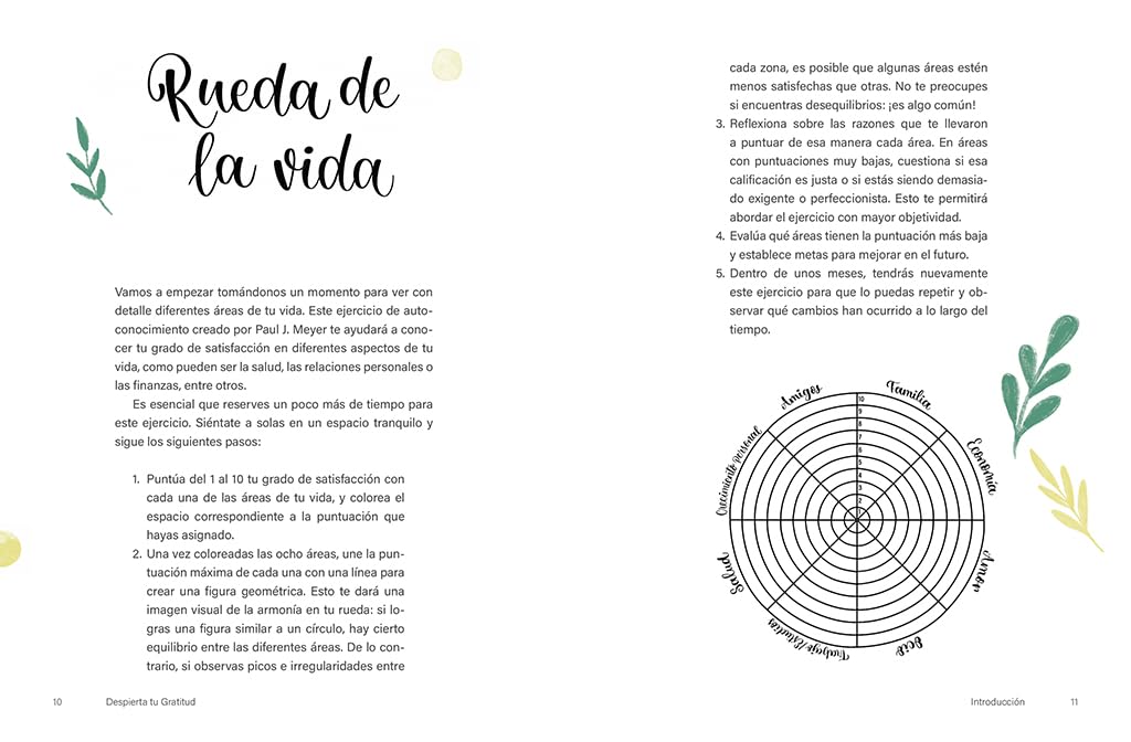 Despierta tu gratitud