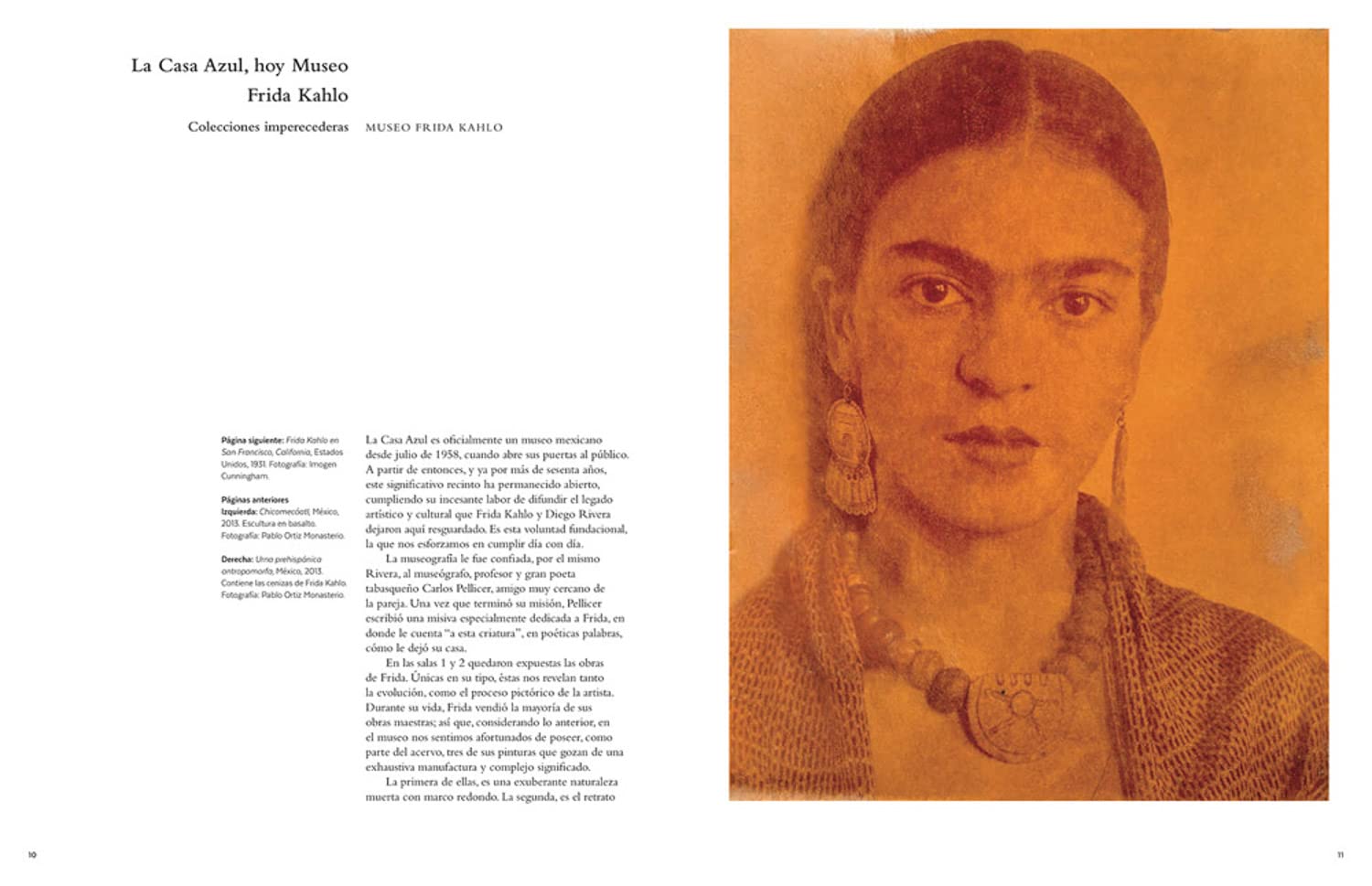 El universo Frida Kahlo