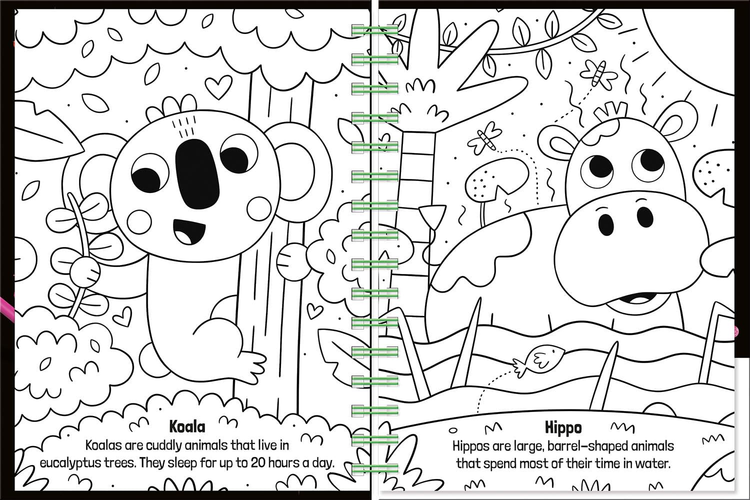 Crystal Fun: Animals
