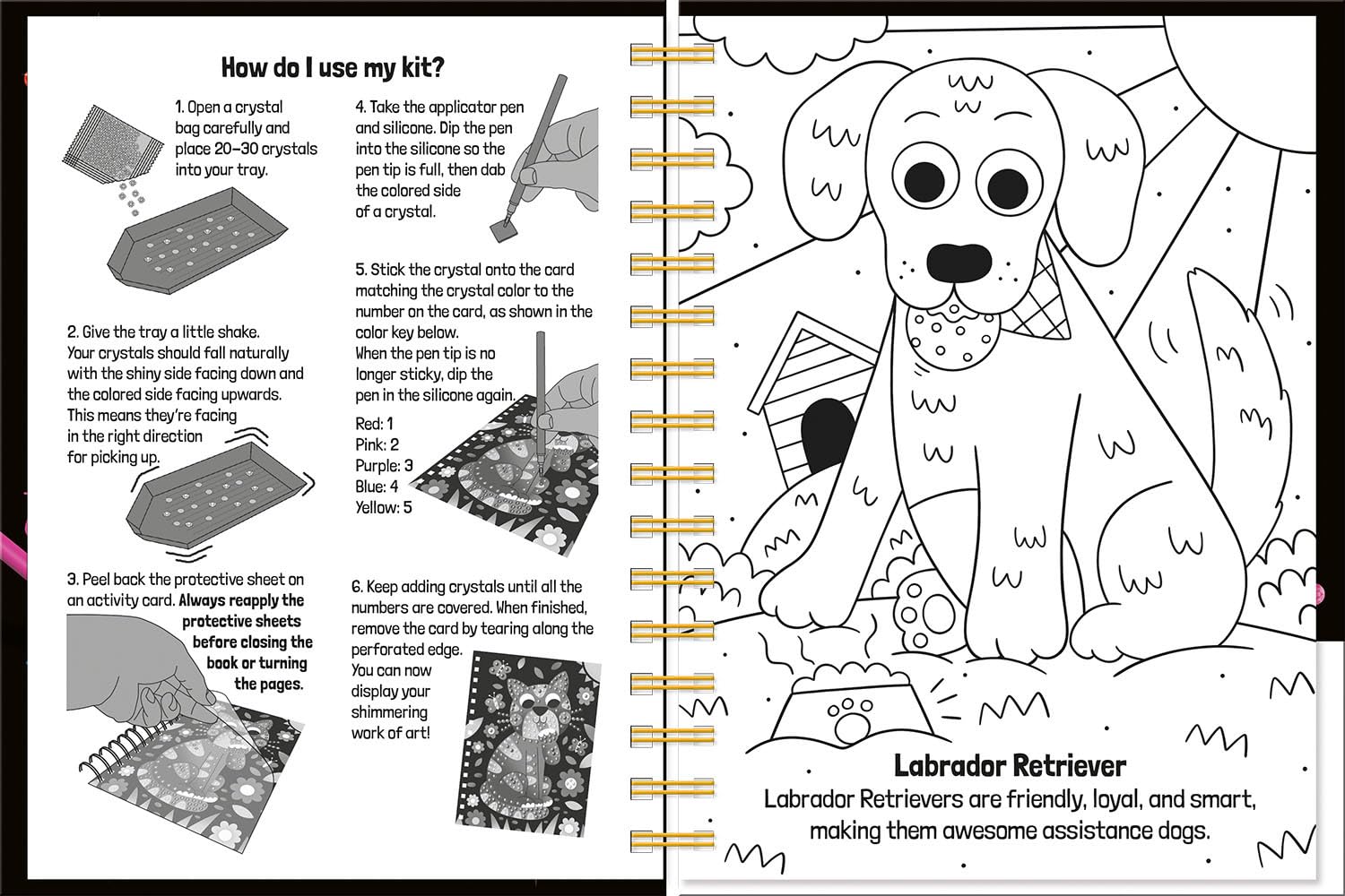 Crystal Fun: Cats &amp; Dogs