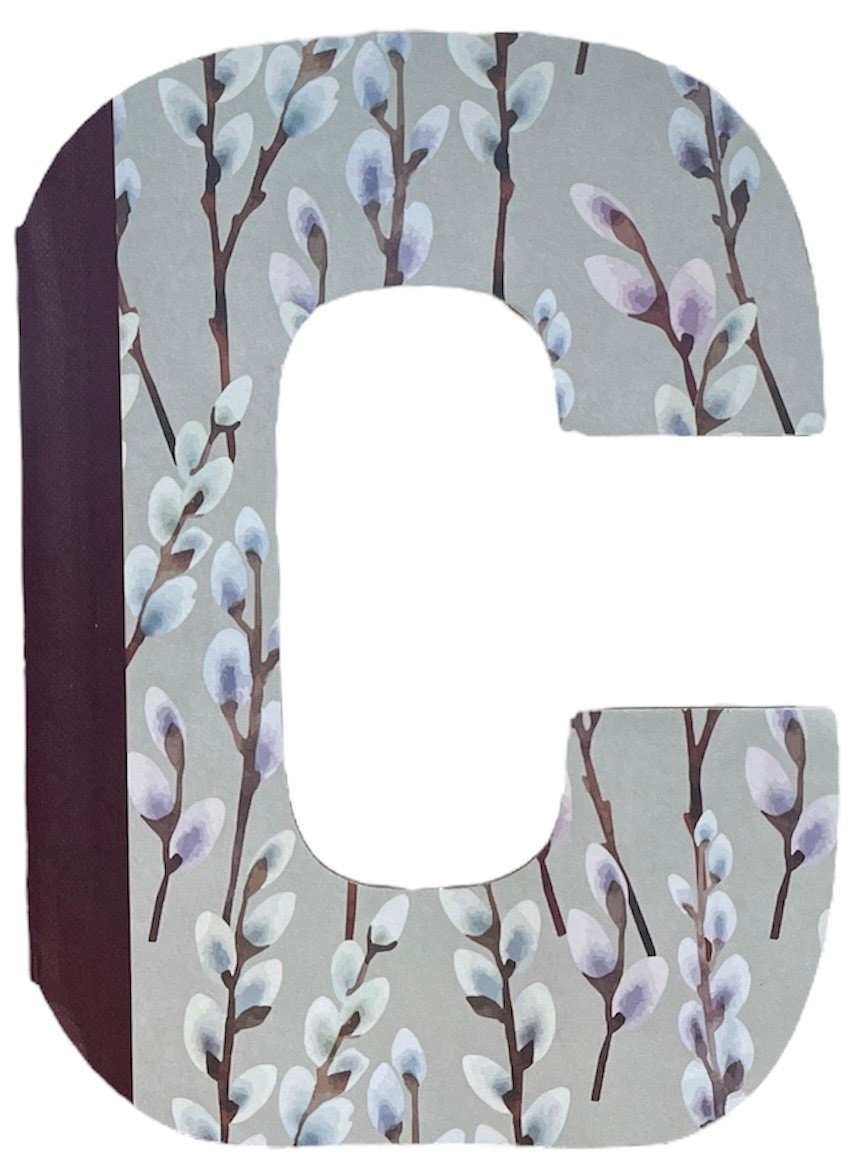 Alphabooks Letter C