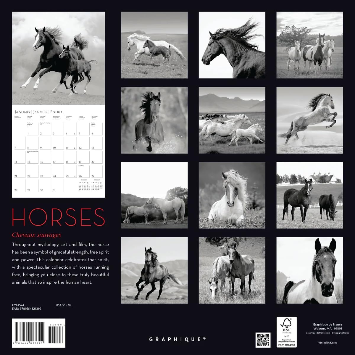 WC 2024 Horses CY43524 METROMEDIA