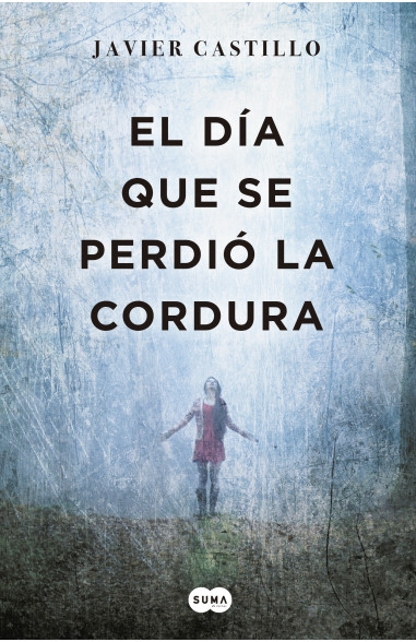 El dia que se perdio la cordura