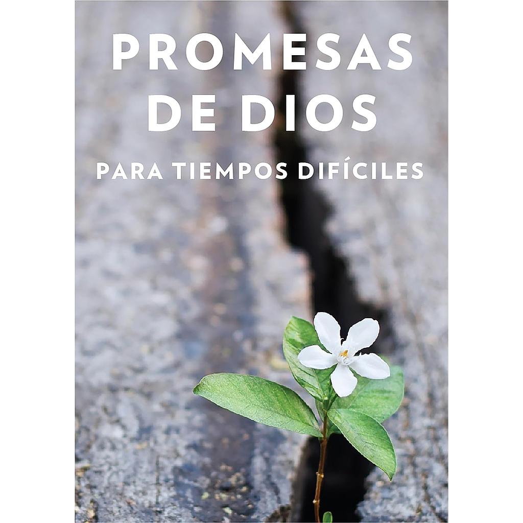 Promesas de Dios para tiempos..