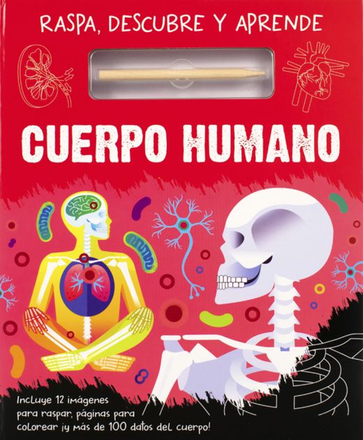 Raspa descubre y aprende cuerpo humano