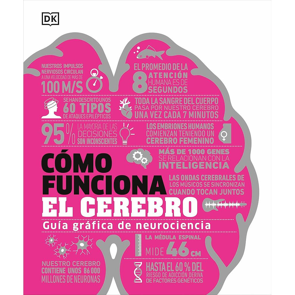 Como funciona el cerebro