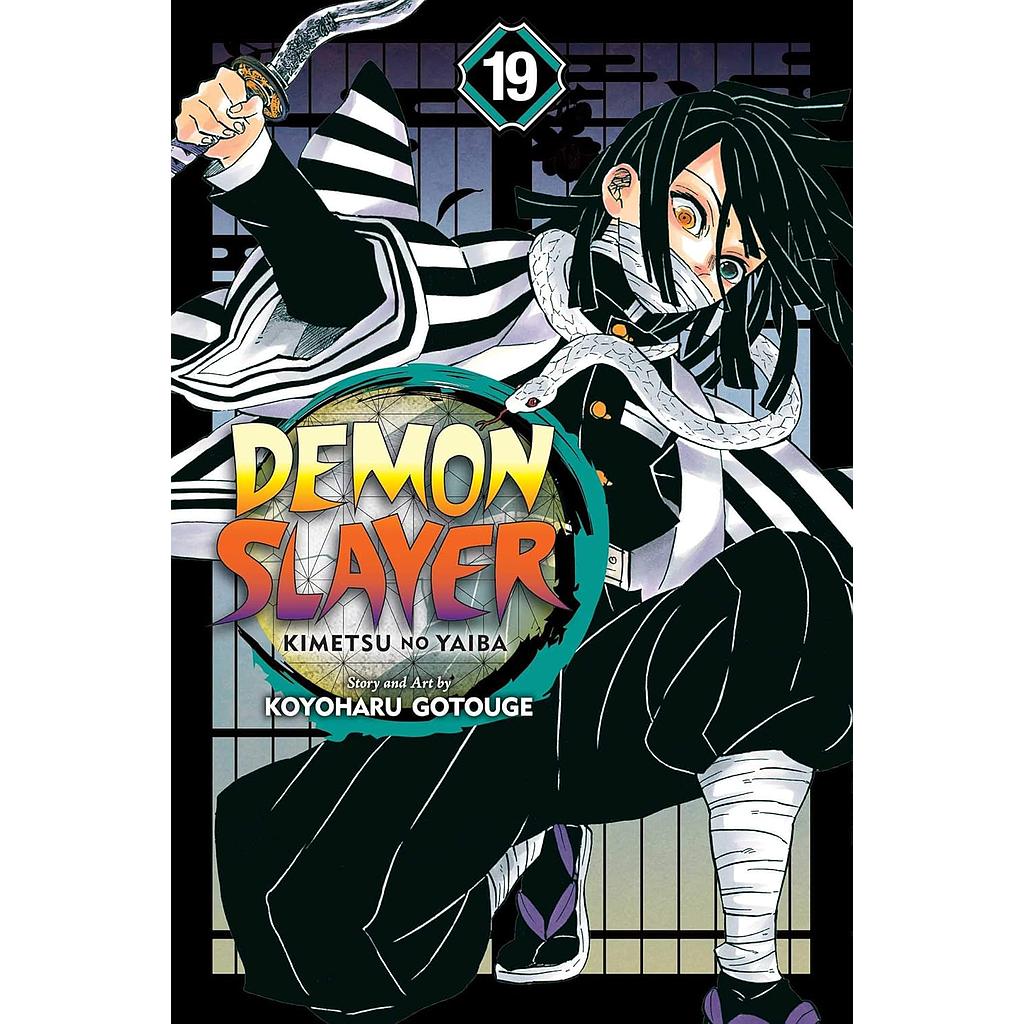 Demon Slayer Vol. 19