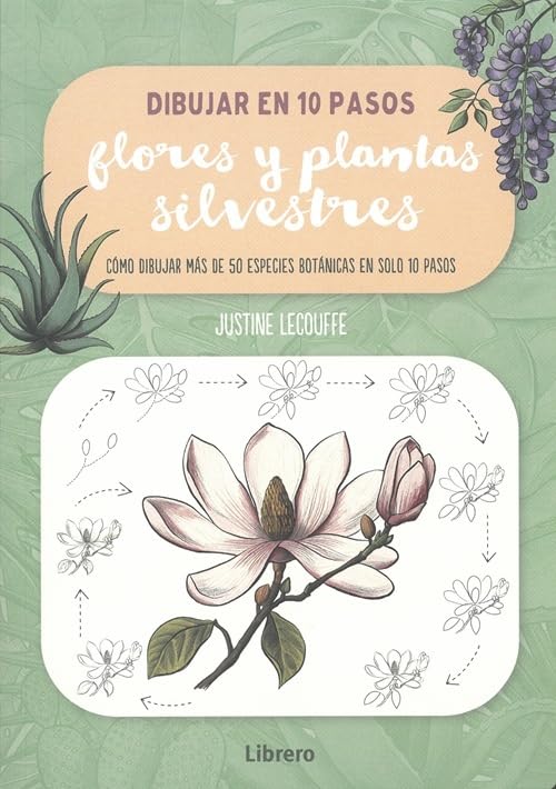 Dibujar en 10 pasos flores y plantas silvestres