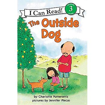 ICR3  THe Outside Dog