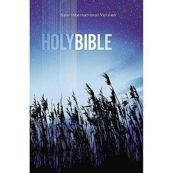 Holy Bible NIV