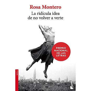 La ridicula idea de no volver a verte