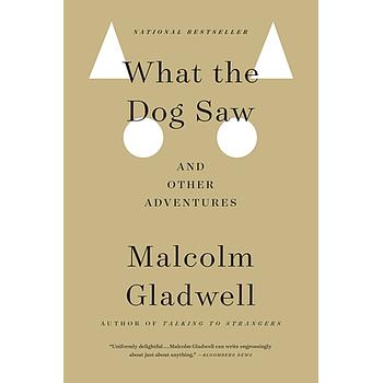 What the dog saw