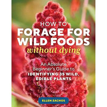 How to Forage for Wild Foods without