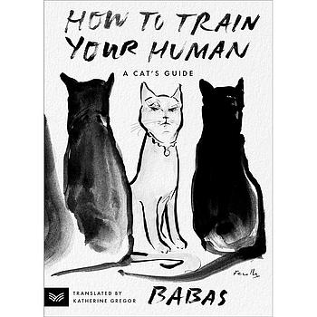 How to Train Your Human: A Cat's Guide
