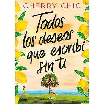 Todos los deseos que escribi sin ti