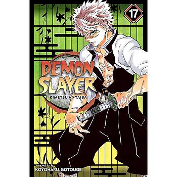 Demon Slayer Vol. 17