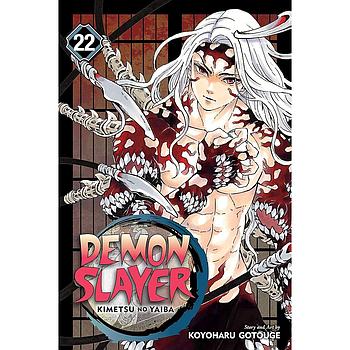 Demon Slayer Vol. 22